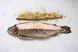 Суміш спецій ЕPIC SPICE "До риби" для барбекю, 150 г, Fish Seasoning