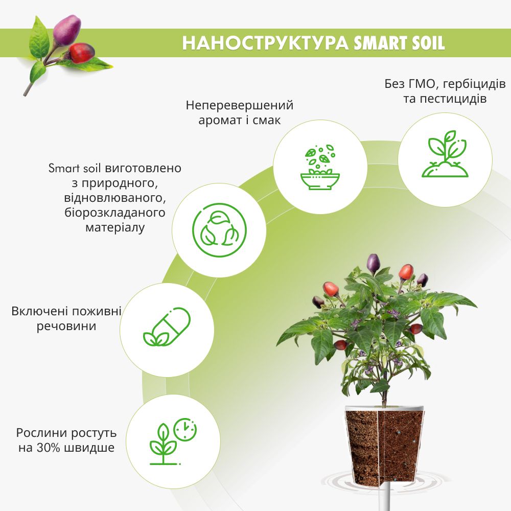 Змінний картридж Click & Grow Перець Чилі фіолетовий( Purple Chili Pepper) 3 капсули