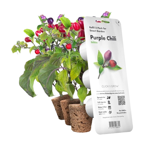 Змінний картридж Click & Grow Перець Чилі фіолетовий( Purple Chili Pepper) 3 капсули