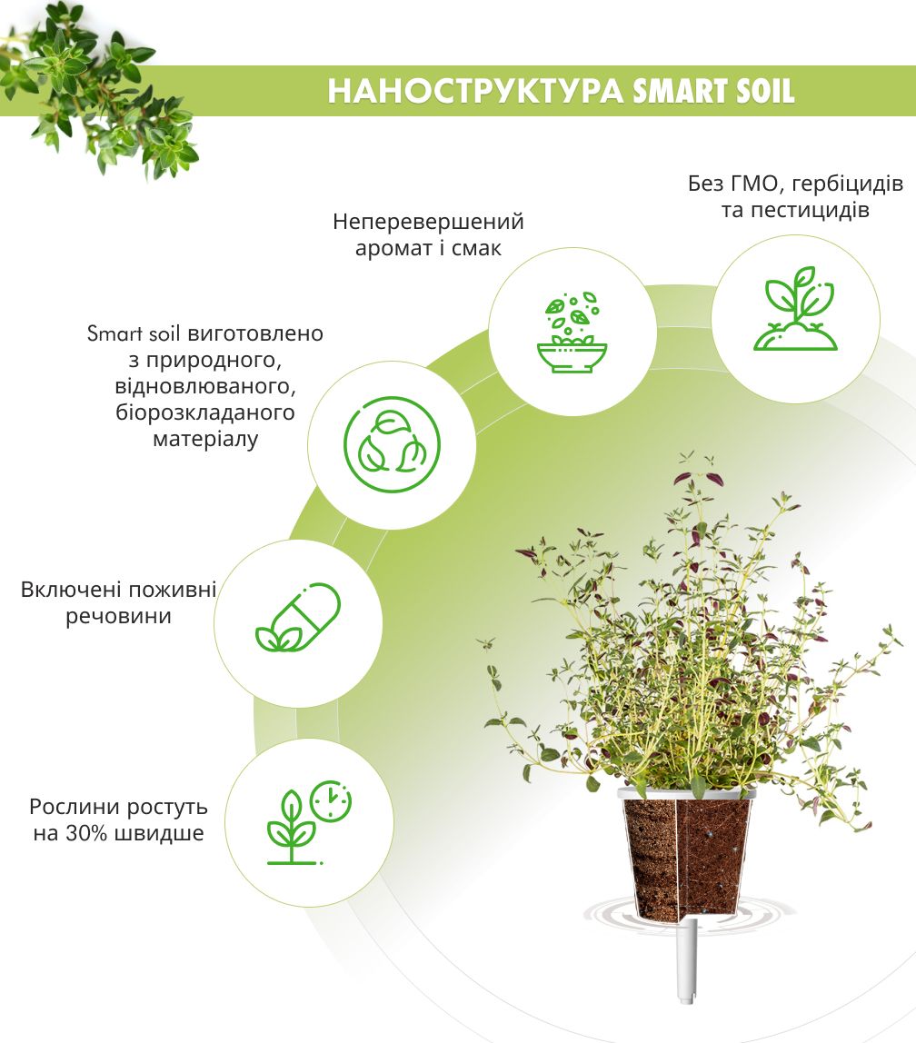 Змінний картридж Click & Grow чебрець (3 капсули)