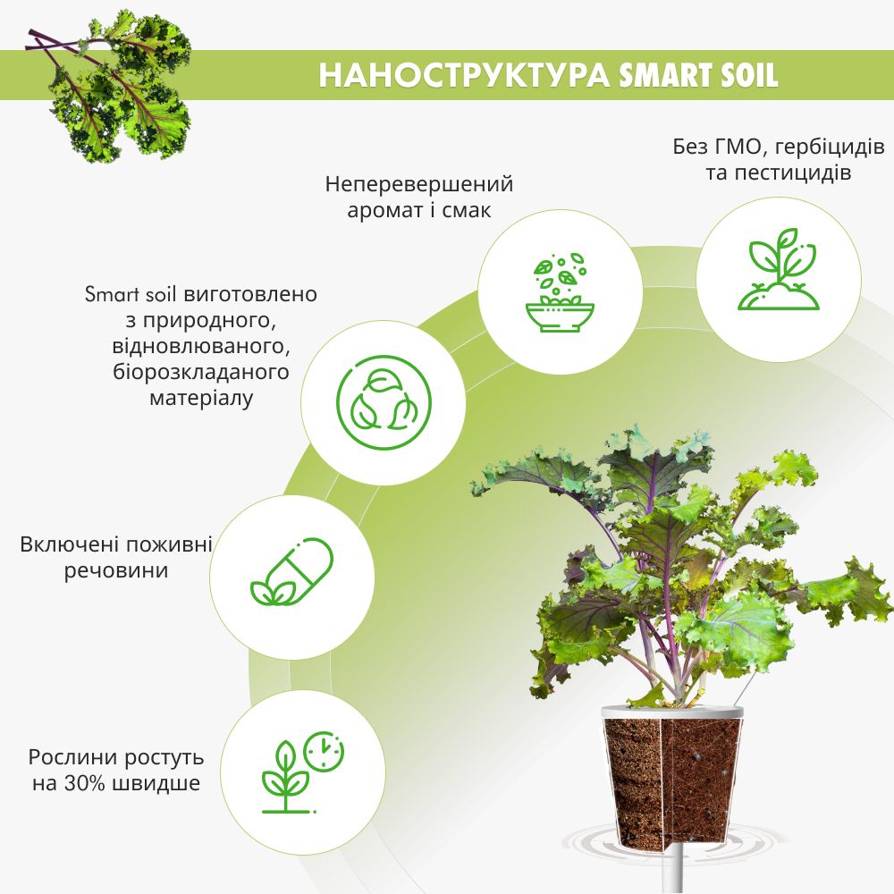 Змінний картридж Click & Grow Червона капуста Кейл (Red Kale) 3 капсули