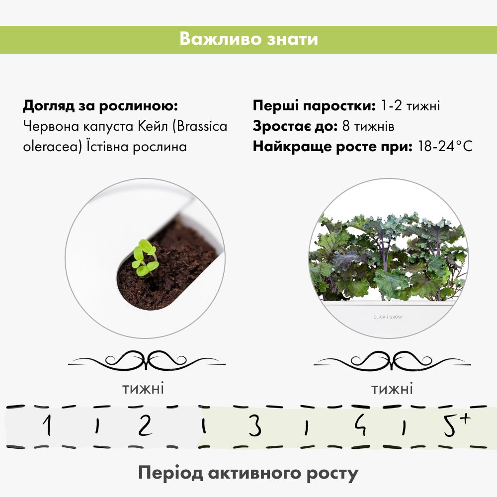 Змінний картридж Click & Grow Червона капуста Кейл (Red Kale) 3 капсули