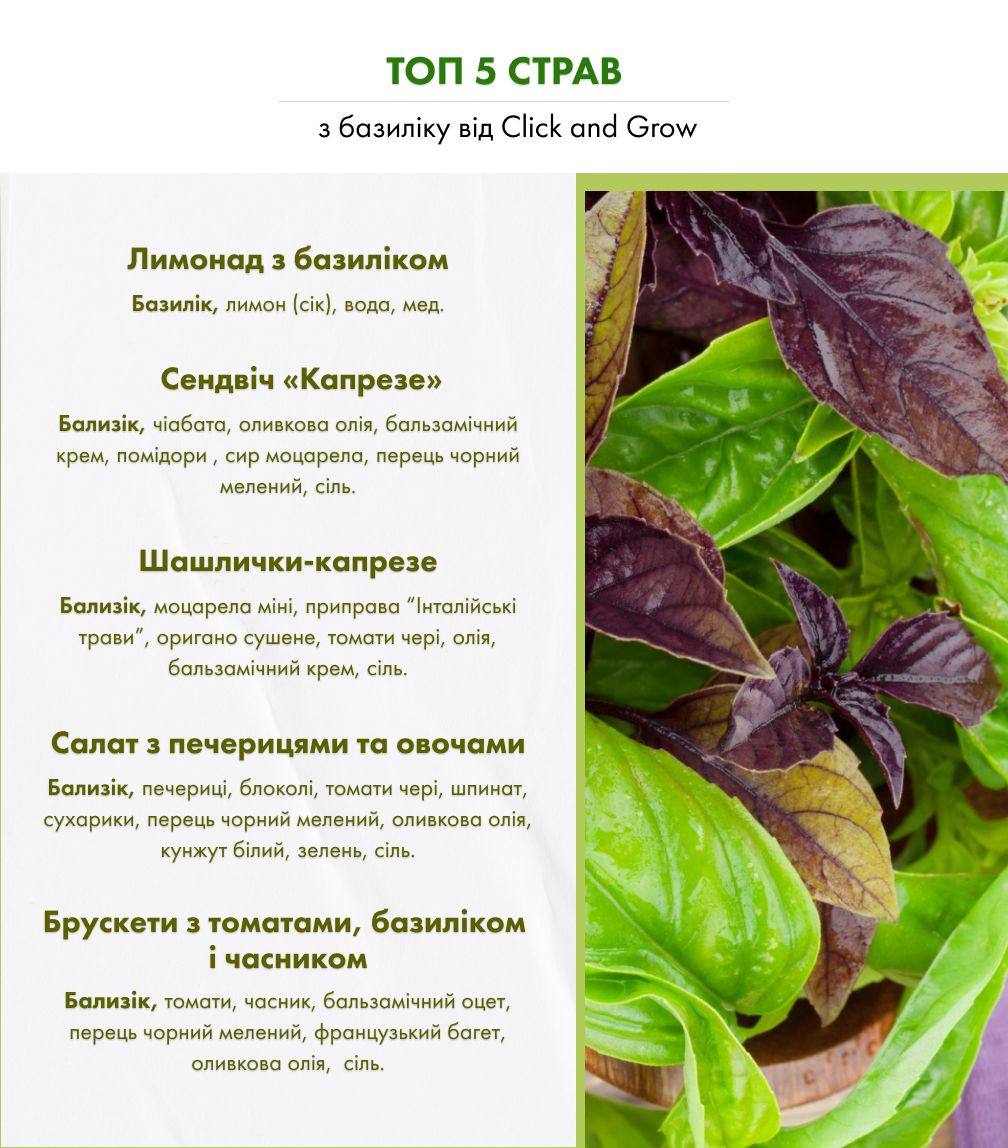 Змінний картридж Click & Grow Червоний базилік (Red Basil) 3 капсули