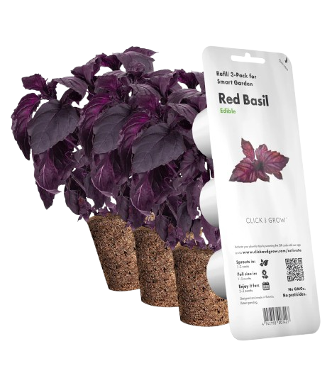 Змінний картридж Click & Grow Червоний базилік (Red Basil) 3 капсули