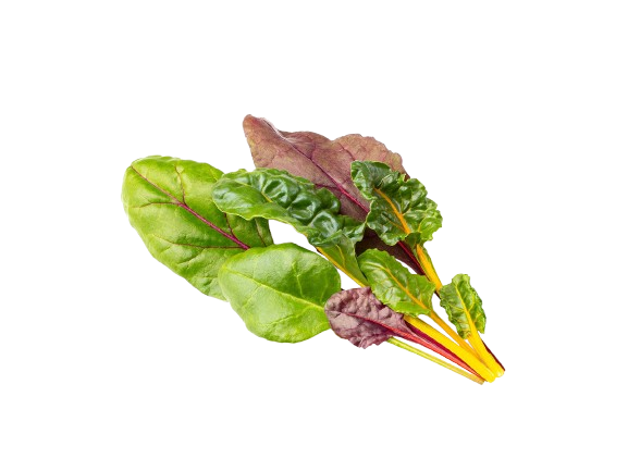 Змінний картридж Click & Grow Райдужний Мангольд (Rainbow Chard)3 капсули