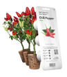 Змінний картридж Click& Grow Перець Чілі (Chili Pepper) 3 капсули