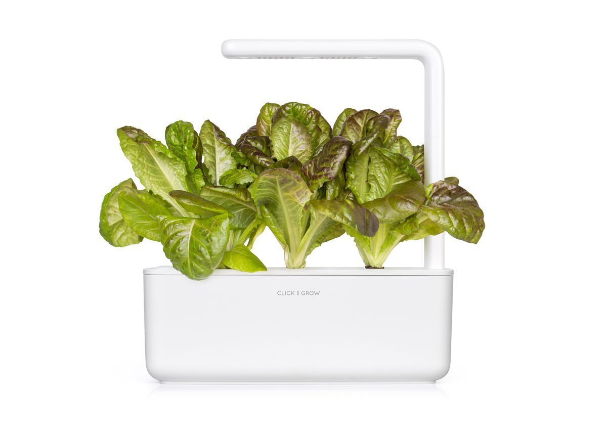 Змінний картридж Click & Grow Червоний салат (Red Lettuce )3 капсули