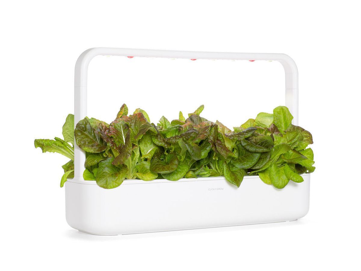 Змінний картридж Click & Grow Червоний салат (Red Lettuce )3 капсули