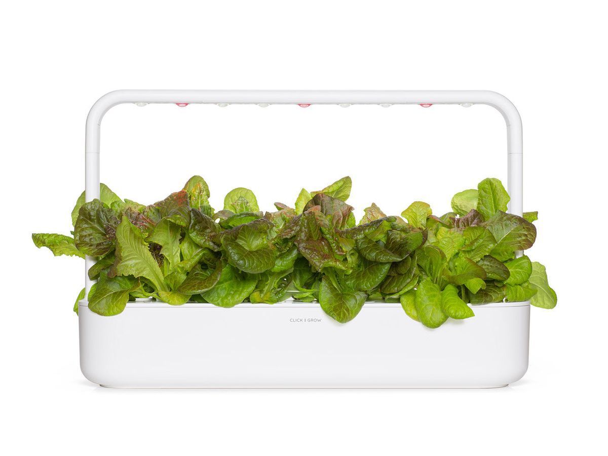 Змінний картридж Click & Grow Червоний салат (Red Lettuce )3 капсули