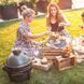 119650 Гриль керамічний вугільний Big Green Egg Mini MAX