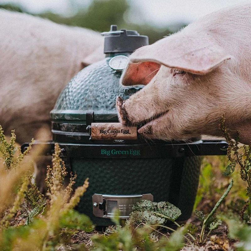 119650 Гриль керамічний вугільний Big Green Egg Mini MAX