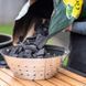 122667 Кошик металевий для вугілля M