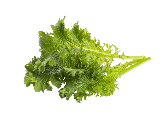 Змінний картридж Click & Grow Гірчиця васабі (Wasabi mustard) 3 капсули