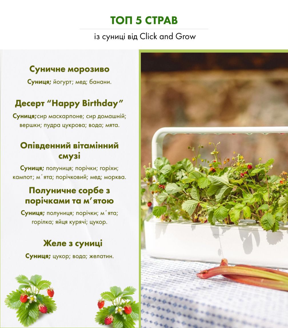 Змінний картридж Click & Grow дика суниця (Wild Strawberry) 3 капсули