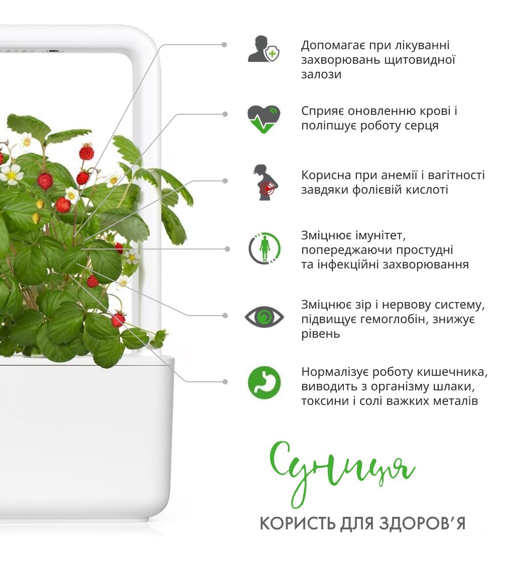 Змінний картридж Click & Grow дика суниця (Wild Strawberry) 3 капсули