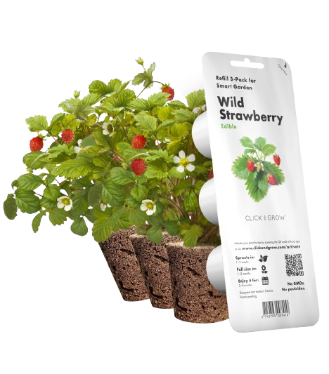 Змінний картридж Click & Grow дика суниця (Wild Strawberry) 3 капсули