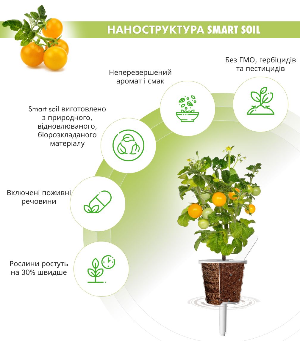 Змінний картридж Click & Grow жовті міні-томати (Yellow Mini Tomato) 3 капсули