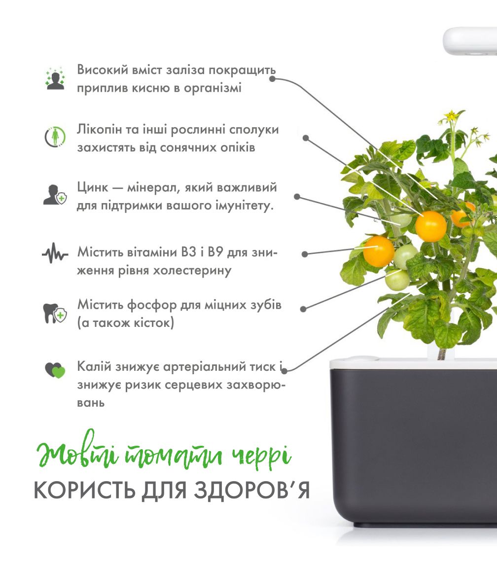 Змінний картридж Click & Grow жовті міні-томати (Yellow Mini Tomato) 3 капсули