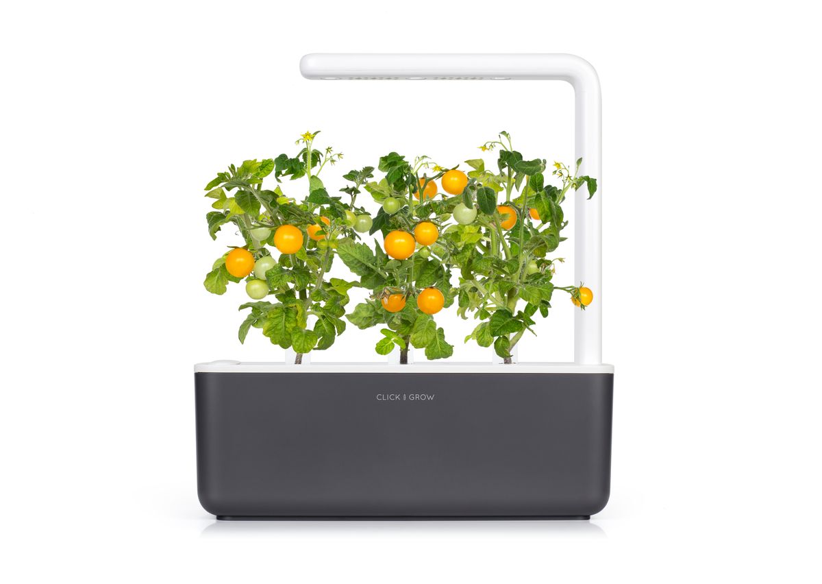 Змінний картридж Click & Grow жовті міні-томати (Yellow Mini Tomato) 3 капсули