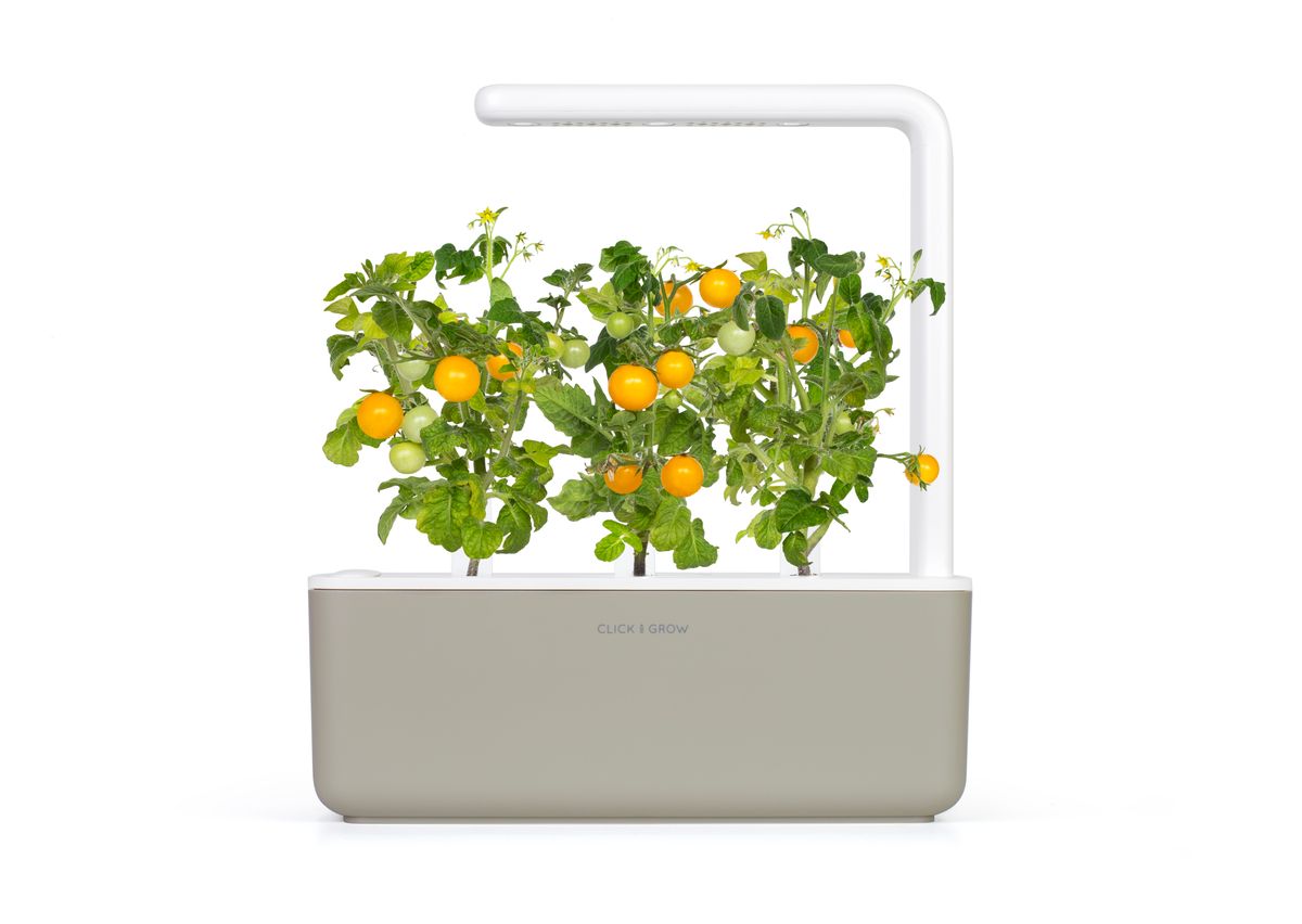 Змінний картридж Click & Grow жовті міні-томати (Yellow Mini Tomato) 3 капсули