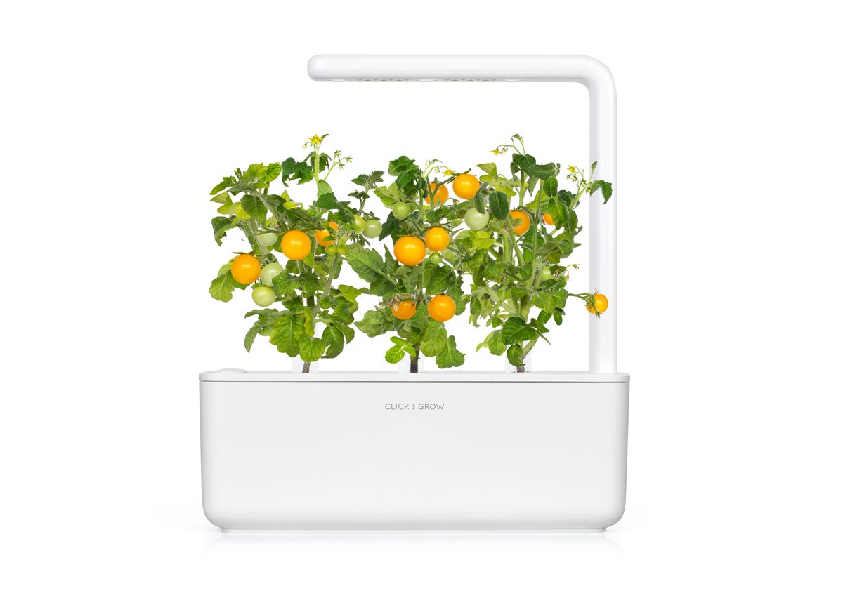 Змінний картридж Click & Grow жовті міні-томати (Yellow Mini Tomato) 3 капсули