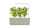 Змінний картридж Click & Grow жовті міні-томати (Yellow Mini Tomato) 3 капсули