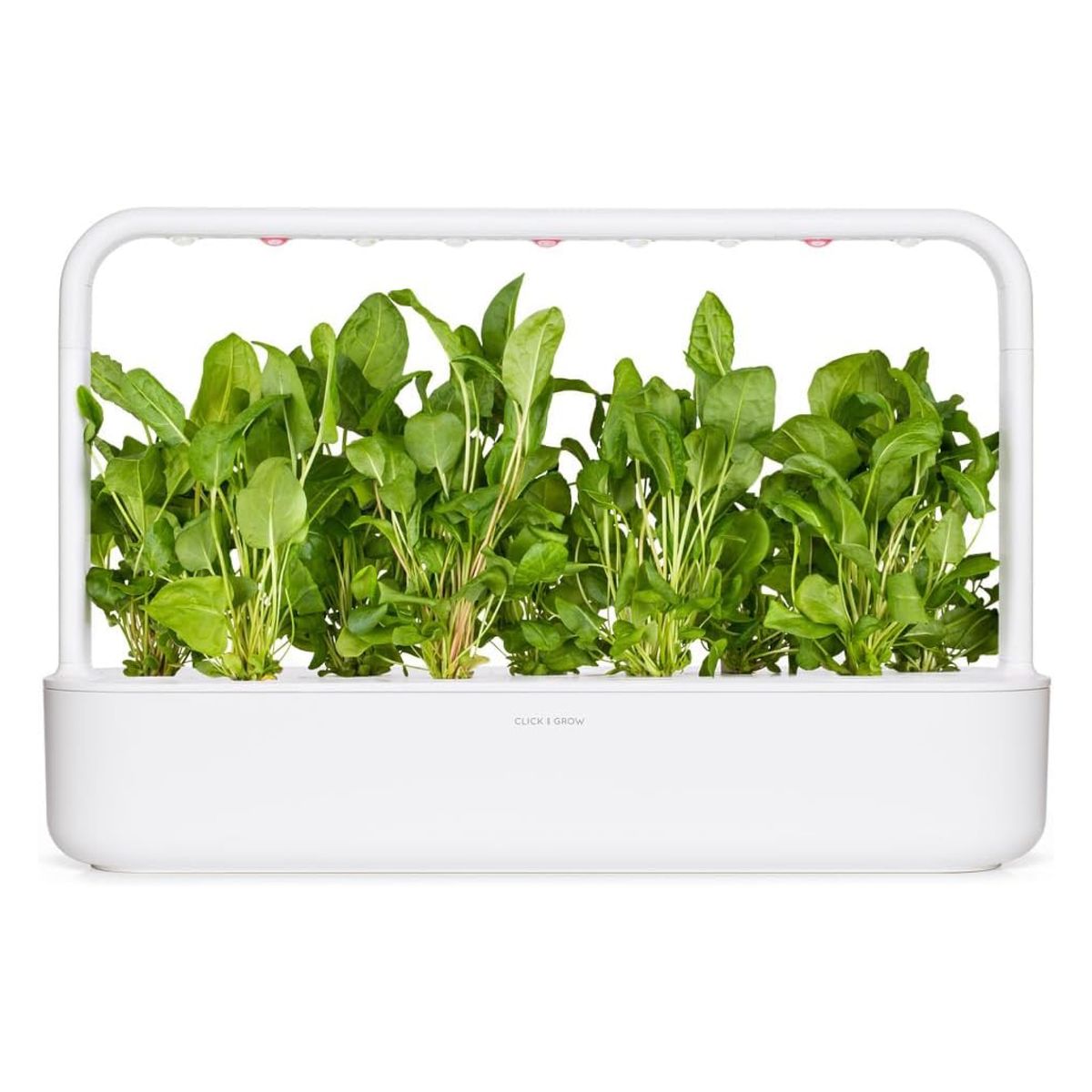 Змінний картридж Click & Grow Зелений щавель (Green sorrel) 3 капсули