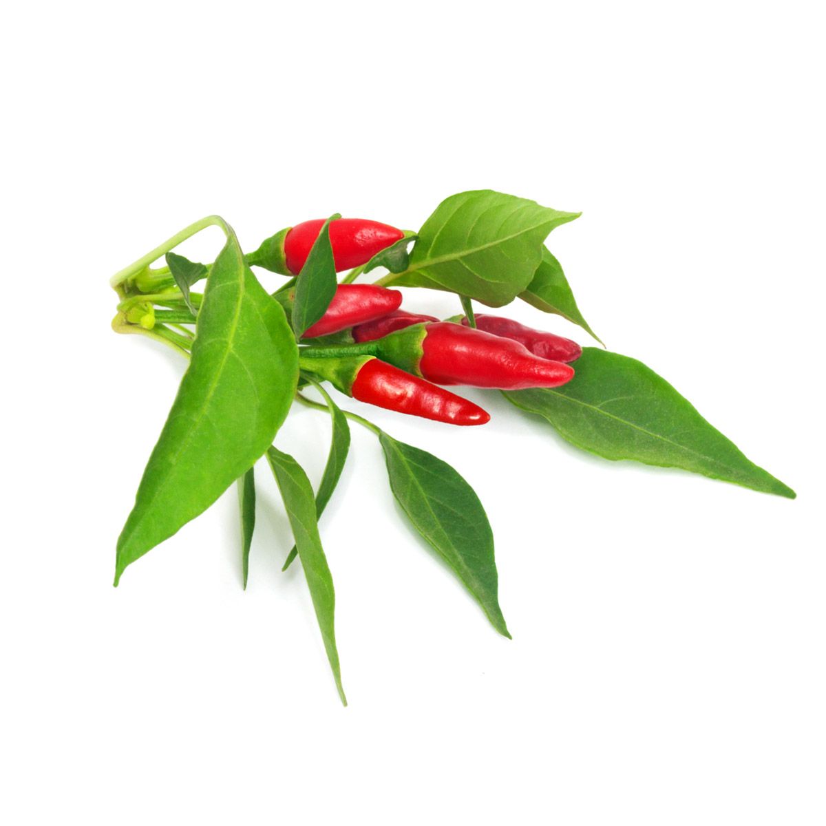 Змінний картридж Click & Grow пірі-пірі чілі (Piri Piri Chili Pepper) 3 капсули