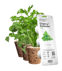 Змінний картридж Click & Grow Коріандр (Cilantro/Coriander) 3 капсули