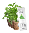 Змінний картридж Click & Grow Коріандр (Cilantro/Coriander) 3 капсули