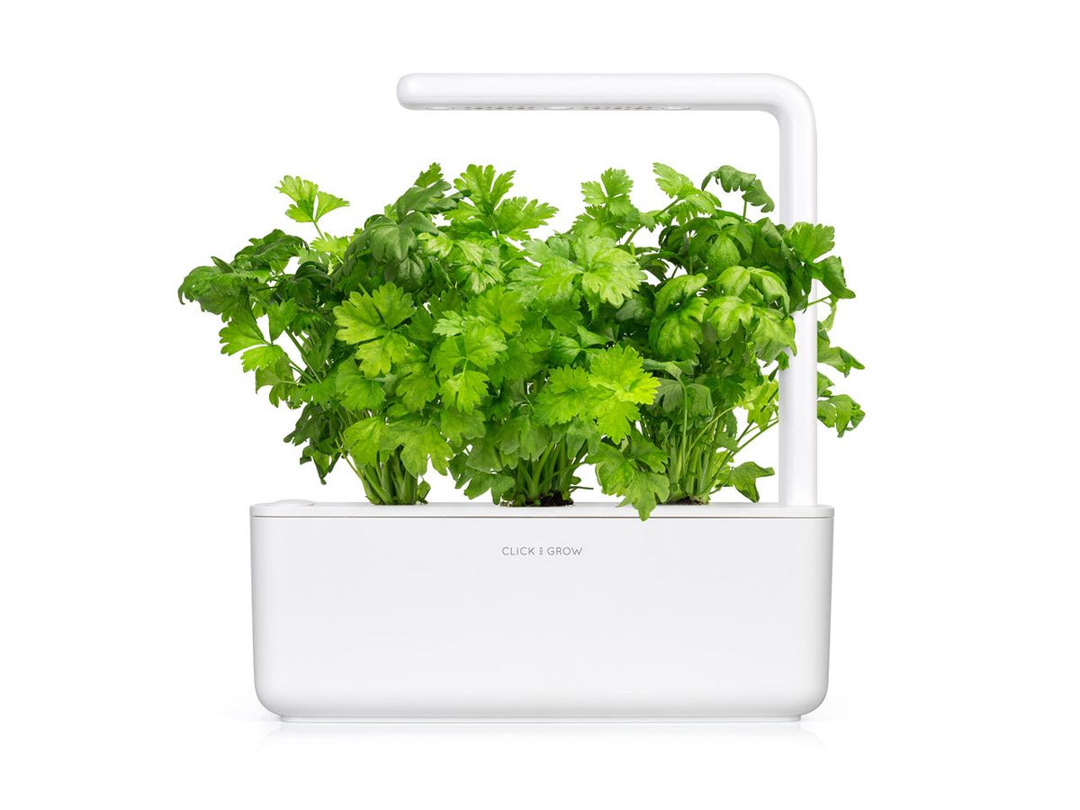 Змінний картридж Click & Grow Листова селера (Leaf Celery)3 капсули