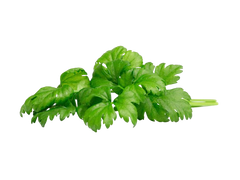 Змінний картридж Click & Grow Листова селера (Leaf Celery)3 капсули