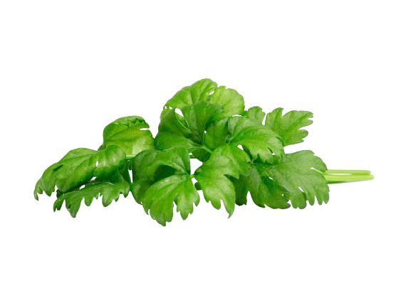 Змінний картридж Click & Grow Листова селера (Leaf Celery)3 капсули