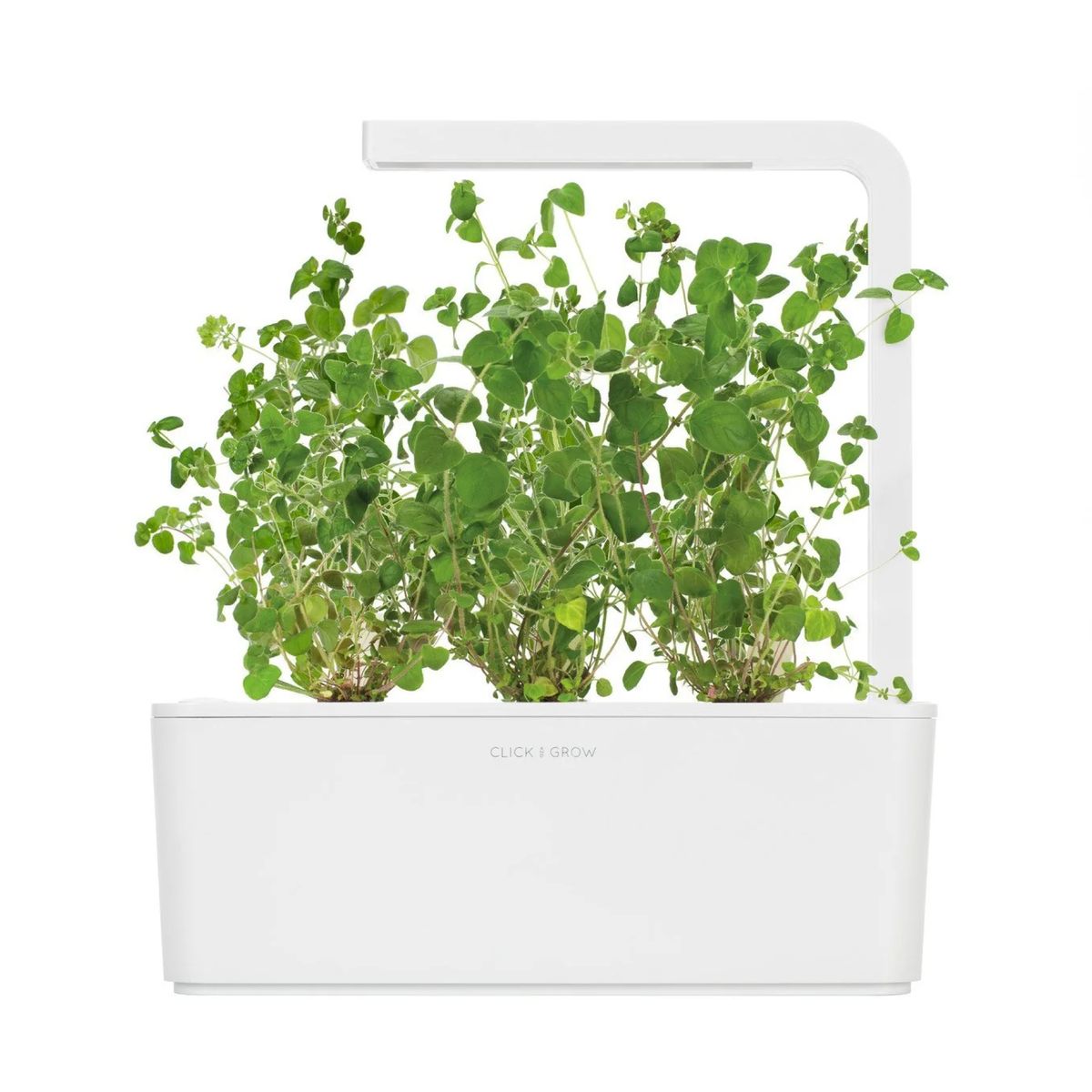 Змінний картридж Click & Grow Майоран (Replaceable Marjoram )3 капсули