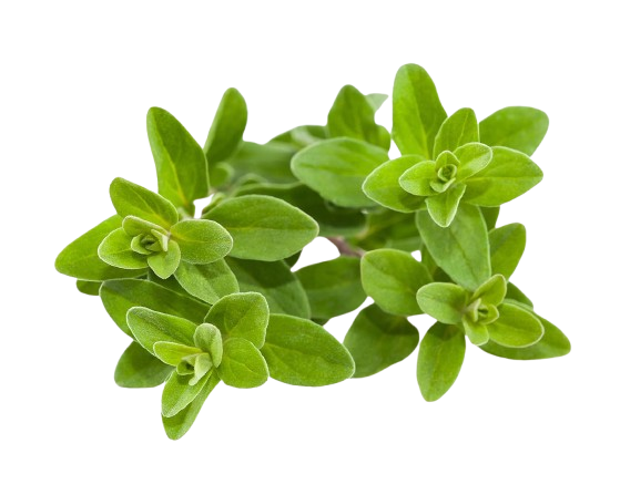 Змінний картридж Click & Grow Майоран (Replaceable Marjoram )3 капсули