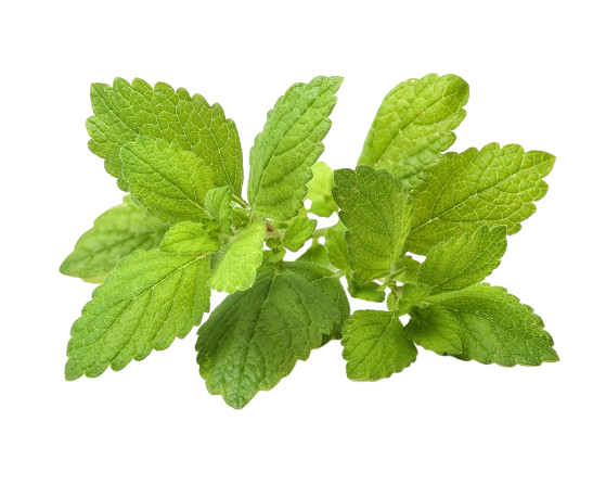 Змінний картридж Click & Grow Меліса (Replaceable Lemon Balm ) 3 капсули