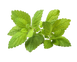 Змінний картридж Click & Grow Меліса (Replaceable Lemon Balm ) 3 капсули