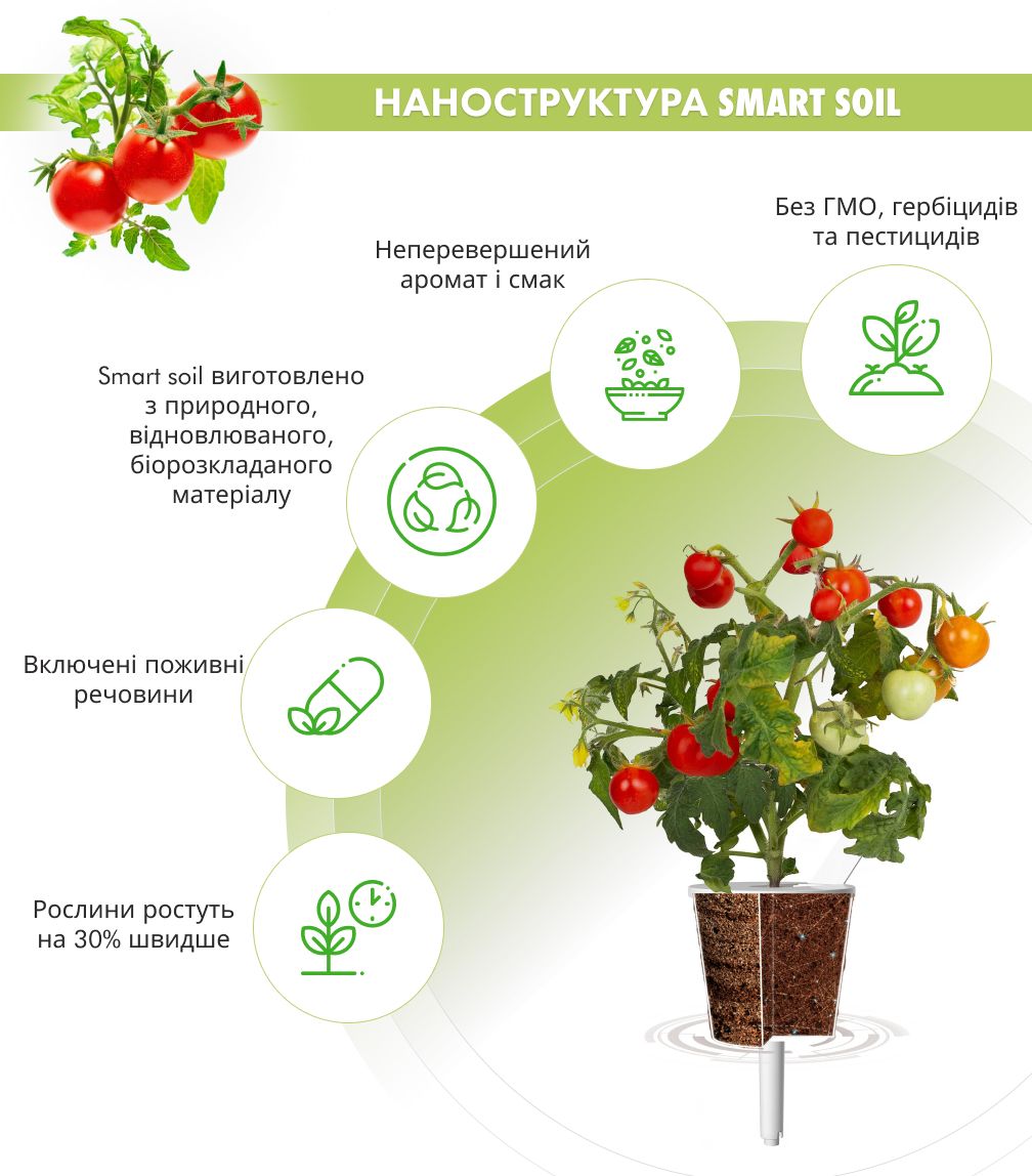 Змінний картридж Click & Grow міні-томати (Mini Tomato) 3 капсули