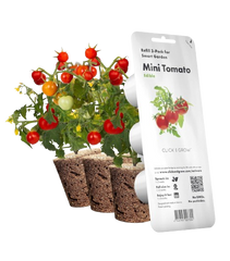 Змінний картридж Click & Grow міні-томати (Mini Tomato) 3 капсули