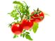 Змінний картридж Click & Grow міні-томати (Mini Tomato) 3 капсули