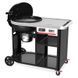 Вугільний гриль Performer Premium Smart 57 cm