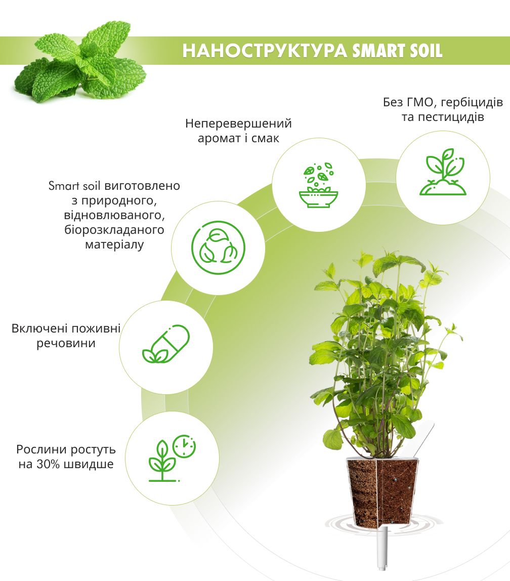 Змінний картридж Click & Grow М'ята (Peppermint) 3 капсули