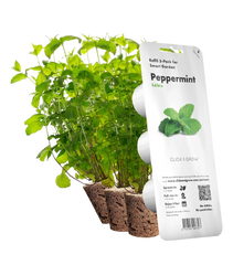 Змінний картридж Click & Grow М'ята (Peppermint) 3 капсули