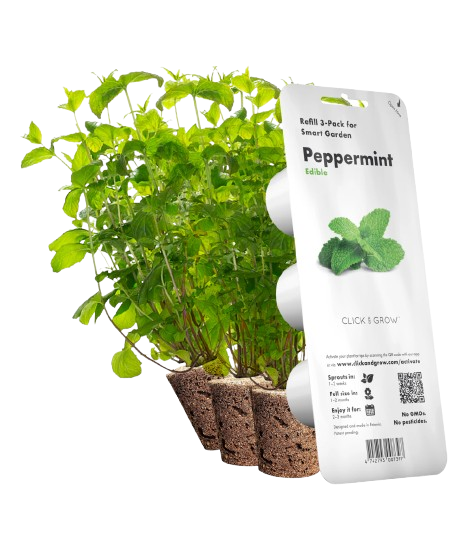 Змінний картридж Click & Grow М'ята (Peppermint) 3 капсули