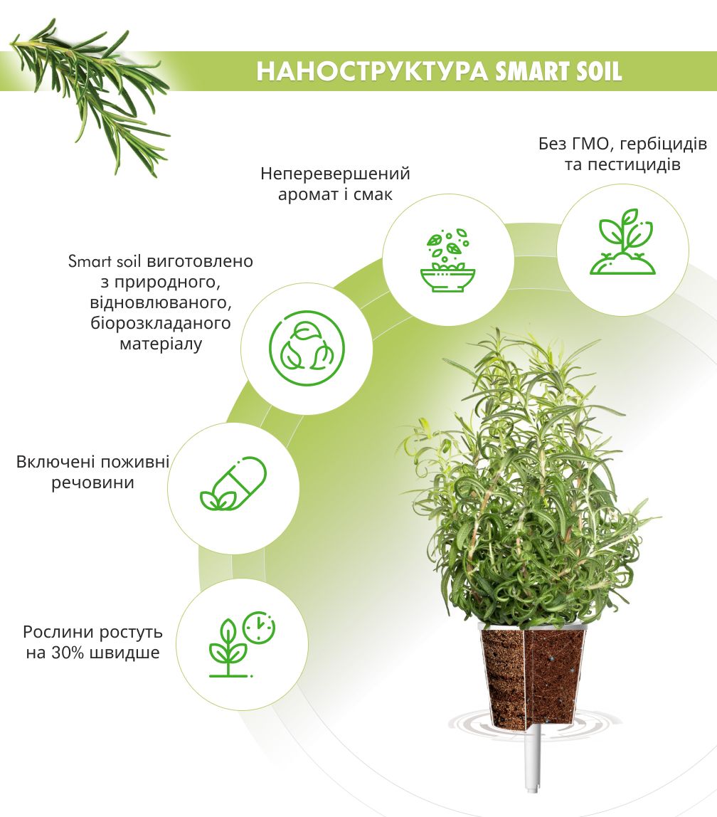 Змінний картридж Click & Grow Розмарин (Rosemary) 3 капсули