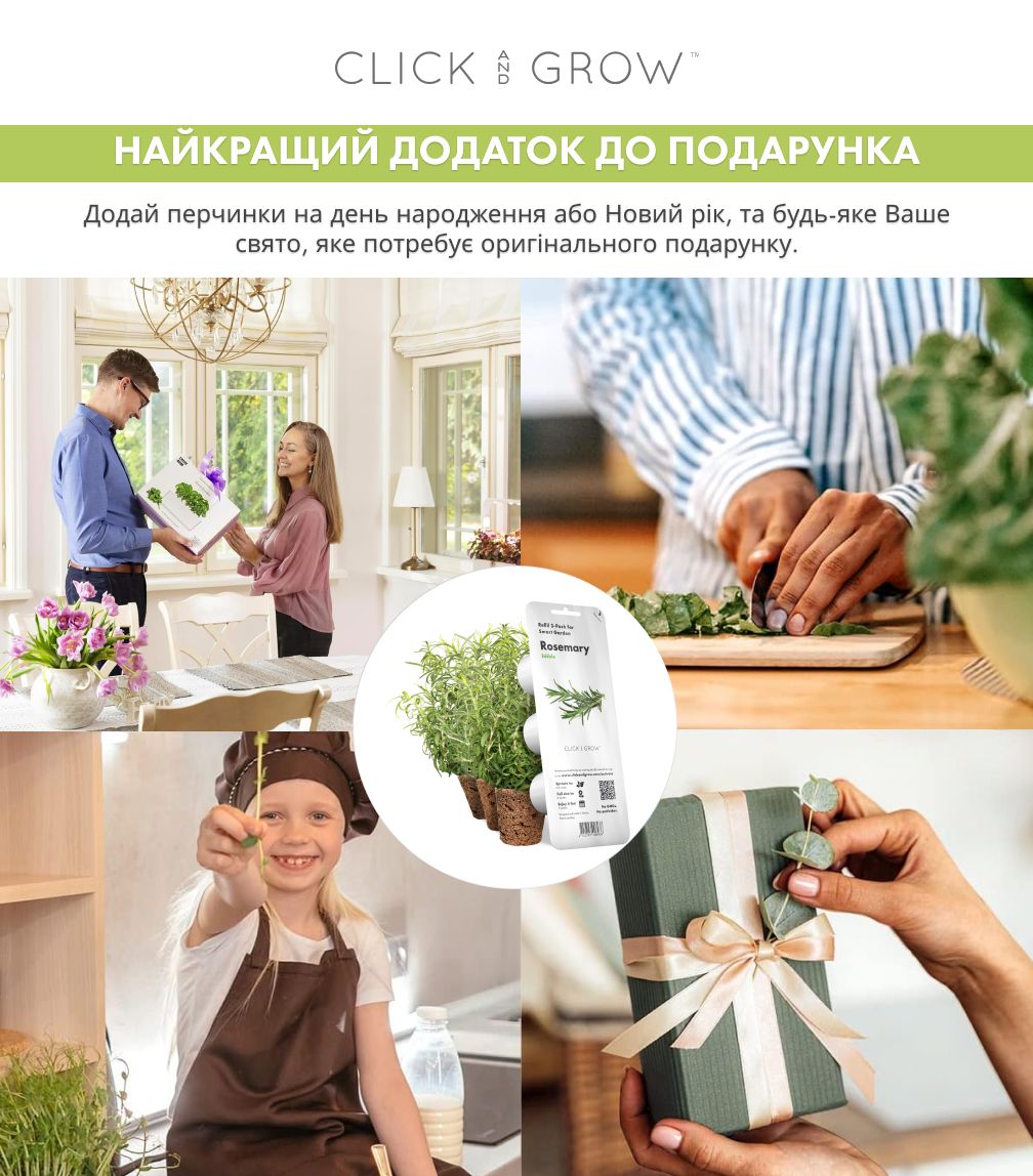 Змінний картридж Click & Grow Розмарин (Rosemary) 3 капсули