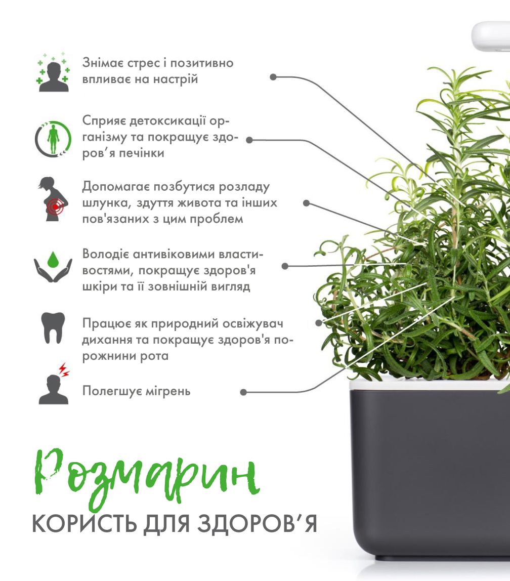 Змінний картридж Click & Grow Розмарин (Rosemary) 3 капсули