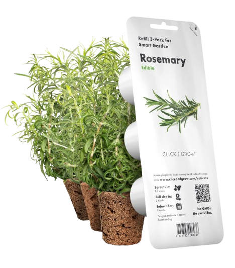 Змінний картридж Click & Grow Розмарин (Rosemary) 3 капсули