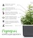 Змінний картридж Click & Grow Розмарин (Rosemary) 3 капсули