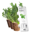 Змінний картридж Click & Grow Рукола (Arugula) 3 капсули